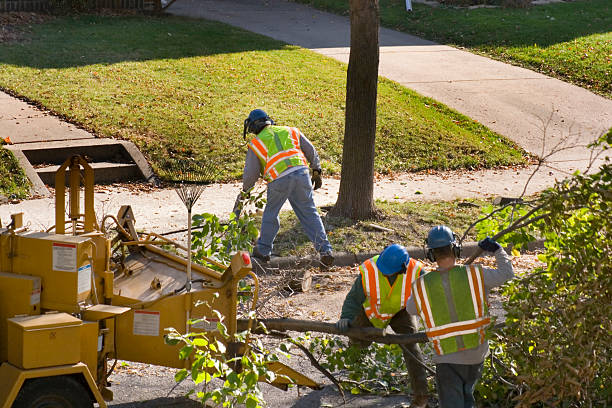 Tree Service Company in Moundsville, WV